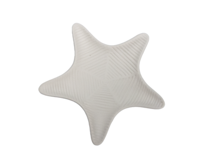 Seestern Relief Seestern Relief ø 11 cm