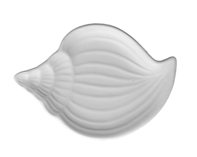 Muschelschale Muschelschale 14 x 10, H 2 cm